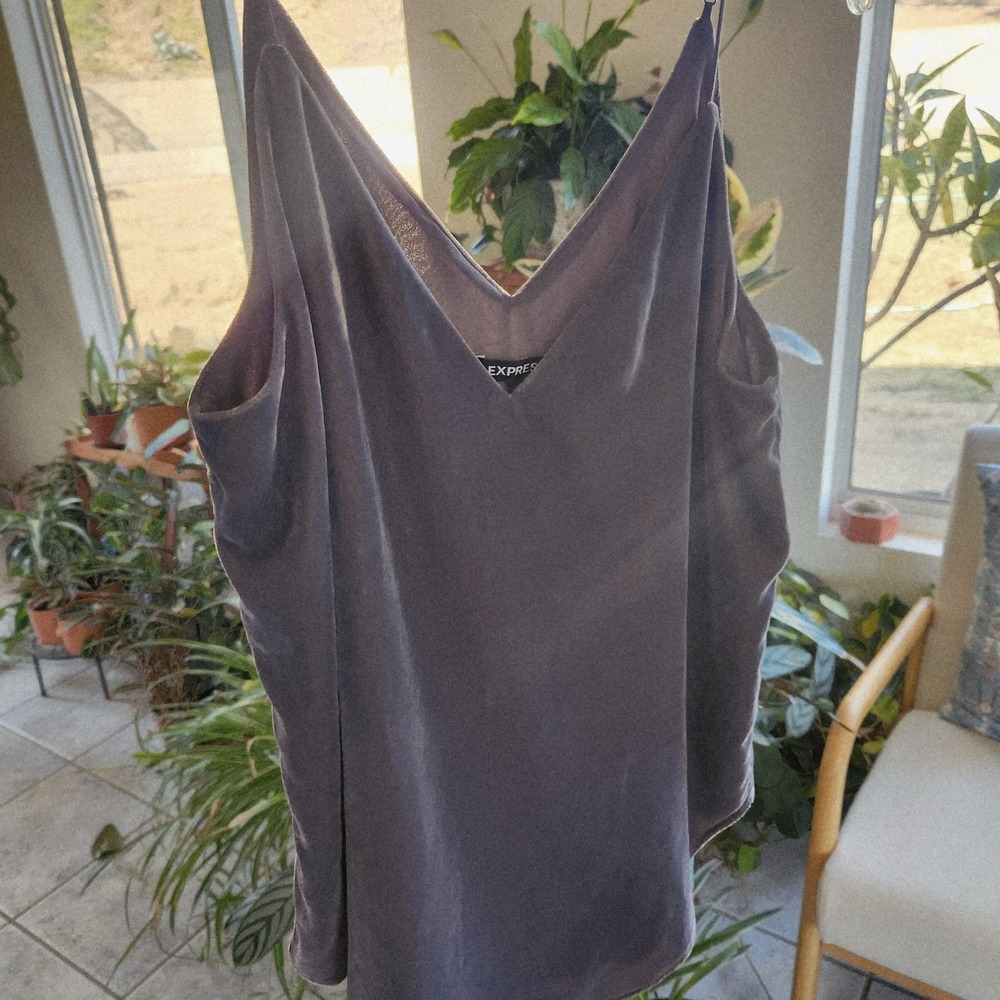 Express Velvet Spaghetti Tank Top Womens Sz S Gray/purple V-Neck Cami